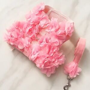 Dog harness no leash